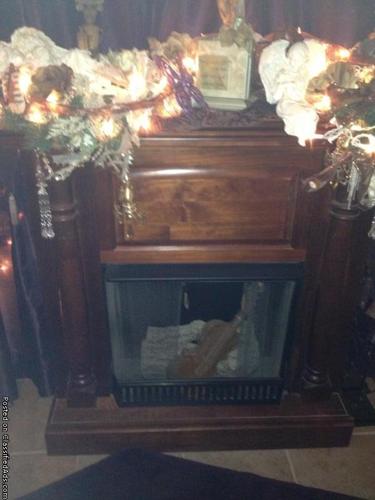 Flames fireplace - Price: 300.00 OBO