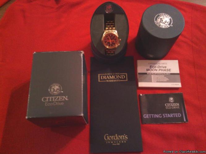 *PERFECT CHRISTMAS GIFT* Gordon's Jewelers Citizen's Eco-Drive WATCH! - Price: 350.00