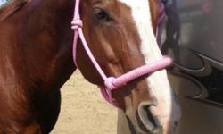 Beautiful 18 year old red sorrel mare. This mare was used as a lesson horse before I owned her and is wonderful with little kids. Will really teach you a lot! Trail rides, trailers, runs poles, barrel races, chases cows, loves gymkhanas and has a