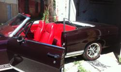 1968 Ford Galaxie XL 500 Convertible in mint condition. Has the original 390 big block motor.
Car was done from top to bottom. New power top,new interior,new tires & wheels, and much much more. I am waiting on two wheels for the front. Car is priced to