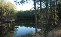 For Sale by Owner
This is a Â½ acre lot in the Clear Lake Pines community in Winchester/La Grange, TX in Fayette County. It is completely undeveloped and covered with tall pines and oak trees. There are utilities that run throughout the community including