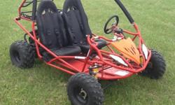 The 150 cc Go-Carts for the adults are BACK! We have 4 different styles and this is from High Rev Power. Gas-Powered, 2-seater, 4 point safety harness and roll cage. Built for fun&nbsp;AND&nbsp;safety.&nbsp;All powersports machines come with a 30 Day