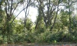 (5) acre Tracts. Suwannee County
Beautiful Large Oaks but not densly wooded.
Subdivision for Site Built or Modular Homes. No Association or Dues
Convenient to Lake City and Live Oak
Just off CR 252
Asking $40,000 (corner tract) / $35,000 back tract (which