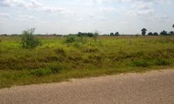 Great location easy access of Montecristo. Ideal for home with acreage or farmland or development.&nbsp;6.5 ACRES in N. Edinburg close to the city.
Full Details:
http://www.almaruizrealestate.com/listing/mlsid/539/propertyid/156423/
Listing Courtesy of