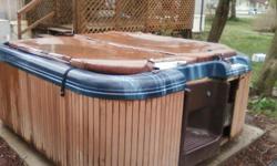 works great. Jacuzzi brand. runs on 220. wood skirt is coming off but can be fixed easily with nails.