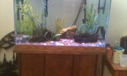 55 gal aquarium with wood stand, top of line pump and filter, two lights and two heaters, fish and extras if you want them. Nothing wrong with items, have just lost interest.
Greg 303-862-4566