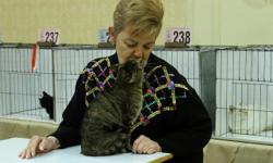 United Persian Society Cat Club presents the Midwest Regional CFA Cat Show on June 7/8, 2014 at the Illinois Building, Illinois State Fair Grounds, Springfield, IL.&nbsp; The times are Saturday 10am to 4pm and Sunday 10am to 3pm.&nbsp; Lots of purebred