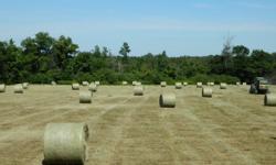 4x5 net wrapped round bales....Hay is under shelter and no rain.....2012 cutting.....Great Horse Hay.......Also have cow hay....Give me a call...-- or