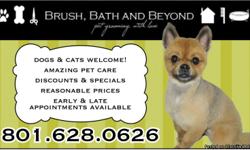 Looking for someone to pamper your pet?
At Brush, Bath and Beyond we go the extra mile caring for your pet!
Full service grooming salon.
ALL dog grooming include the following: bath, conditioning, glands, blow dry, brushing, nail trim/file, ear