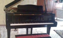 YAMAHA G2 - Classic Grand Piano
Color - Black
FOR SALE BY OWNER.
Purchased new 1995 $27,000.
Asking price $25,000
In great condition, Piano brandYAMAHA appreciate in value over time making this an excellent offer. Piano is located in Lihue, Kauai, Hawaii