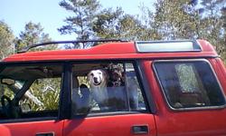 1996 Red Land Rover Discovery, with 108,000 miles, great for driving on beach or hauling boats.
Lots of open space to haul plants, etc.
Has a trailer hitch. Also comes with Rear Land Rover Bike Rack.
No rear seats. Taken out for hauling Yellow Lab. Two