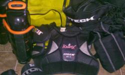 Chest pad gloves leg pads bag to carry it in