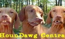 Join us on HounDawg Central to buy-sell-or trade any type of hunting dogs, pups, and hunting equipment.
www.facebook.com/groups/houndawgcentral/
&nbsp;