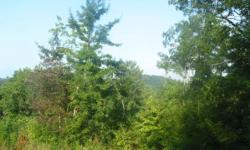 LAND 3 acres in Tellico Plains area on a nat'l forest service road with gravel driveway and privacy gate. Partially wooded and rolling with level building site. Spring and mtn views. Private with lots of wildlife and not in a subdivision. Several large