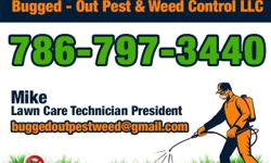 Mike&nbsp;786-797-3440
We are Bugged-Out Pest And Weed Control LLC. We are fully licensed and insured. Along with pest control we specialize in fertilization, insect, weed and disease control. We also do palm diagnosis and treatment as well as mosquito