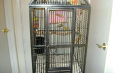 I have a pineapple conure with cage and accessories.Please call Debra if interested.206 466-9437