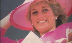 Princess Diana (2)&nbsp; Poster&nbsp; 9.5"x9.5"&nbsp;&nbsp;&nbsp; *Cliff's Comics & Collectibles *Comic Books *Action Figures *Posters *Hard Cover & Paperback Books *Location: 656 Center Street, Apt A405, Wallingford, Ct *Cell phone # --