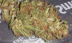 &nbsp;
Strain Name:&nbsp;Raspberry Kush
Grade:&nbsp;B++
Type:&nbsp;Indica
Looks:&nbsp;Light green buds with lots of glittery trichomes. Long straight red hairs. Very&nbsp;small hints of purple from leaf ends (if any).
Smell:&nbsp;Sweet and fruity, with