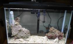 13 gallon tank with led lighting,filter,heater,thermometer,microvert food,2 good size pieces of live rock, 4 Hawaiian &nbsp;feather dusters, 1 pink feather duster.