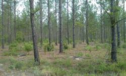 We are buyers of Pulpwood/Sawtimber Pine and Hardwood in North an South Carolina.
Our goal is to promote a harvest plan that is suited for each landowner because each property is unique. Different management techniques are considered for each landowner's