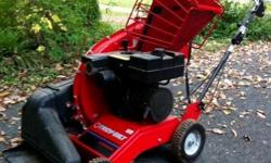 Self propelled leaf vac/ chipper-shredder. Two collection bags. Approx 12 yrs old, but low hours. Runs great. All Manuals.&nbsp;
Will chip branches 3 inches in diameter. Reduces leaves to fine mulch. Vacuum and rake-in attachment.