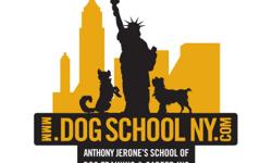 ANTHONY JERONE
Recognized and Applauded by:
Mayor Bloomberg
Mayor Giuliani
Mayor Dinkins
Mayor Koch
Over 35 years Experience
Anthony Jerone's School of Dog Training & Career Inc. is run by Anthony Jerone. It is the only school that provides both the