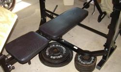 600 pound capacity bench with curling platform, 40 pound straight bar, 15 pound curling bar, 405 pounds of weights in total (including bars) and 4 quick release clips... weights have the large, 3 inch hole. The last time I checked Dunham`s, this would